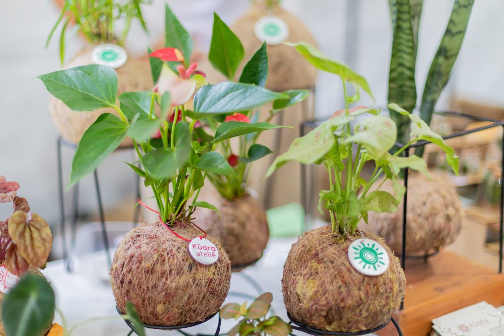 Praça Alencastro sedia a Feira Cultura, Sabor e Arte nesta sexta-feira (29) e o Festival de Flores