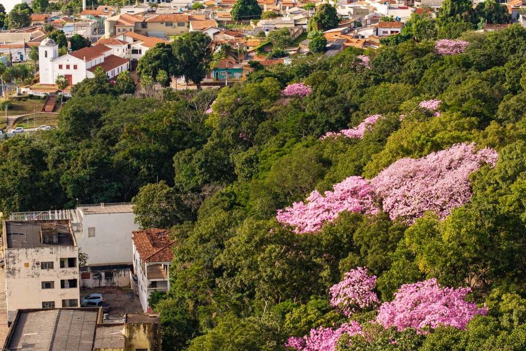 Cuiabá é habilitada pela Sema para ampliar atuação no licenciamento ambiental